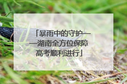 暴雨中的守护——湖南全方位保障高考顺利进行