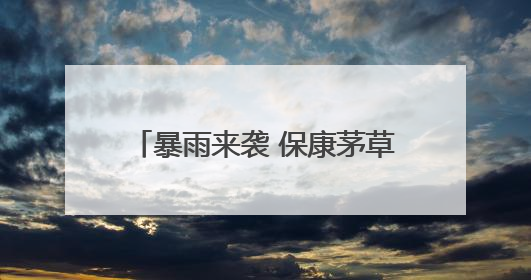 暴雨来袭 保康茅草岭电站员工化身“清道夫”闻“汛”而动