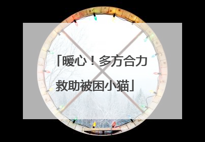 暖心！多方合力救助被困小猫