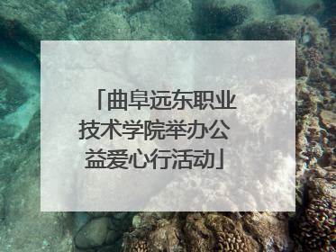 曲阜远东职业技术学院举办公益爱心行活动