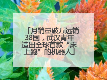 月销量破万远销38国，武汉青年造出全球首款“床上跑”的机器人