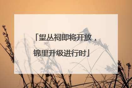 望丛祠即将开放，锦里升级进行时