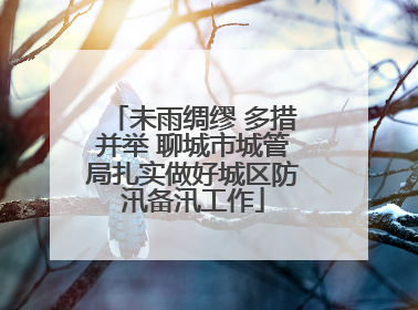 未雨绸缪 多措并举 聊城市城管局扎实做好城区防汛备汛工作