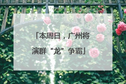 本周日，广州将演群“龙”争霸