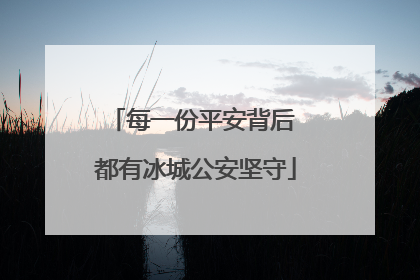 每一份平安背后 都有冰城公安坚守