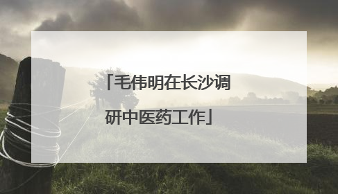 毛伟明在长沙调研中医药工作
