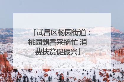 武昌区杨园街道：桃园飘香采摘忙 消费扶贫促振兴