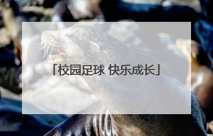 校园足球 快乐成长