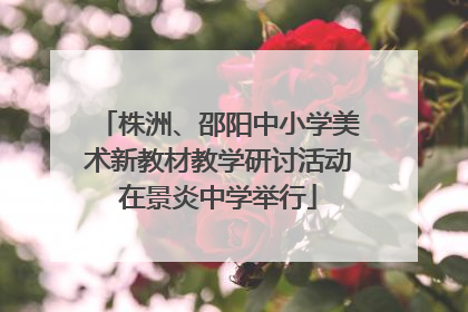 株洲、邵阳中小学美术新教材教学研讨活动在景炎中学举行