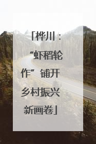 桦川：“虾稻轮作”铺开乡村振兴新画卷