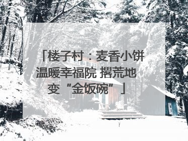 楼子村：麦香小饼温暖幸福院 撂荒地变“金饭碗”