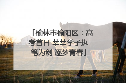 榆林市榆阳区：高考首日 莘莘学子执笔为剑 逐梦青春