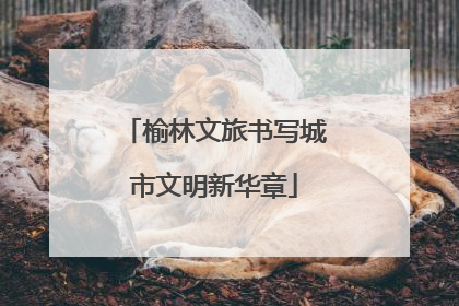 榆林文旅书写城市文明新华章