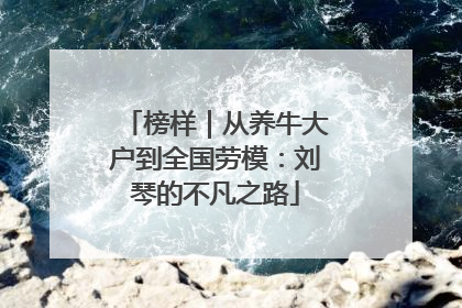榜样｜从养牛大户到全国劳模：刘琴的不凡之路