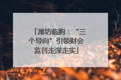 潍坊临朐：“三个导向”引领财会监督走深走实