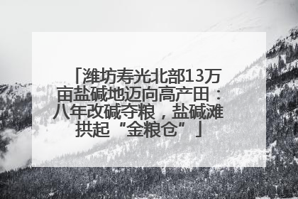 潍坊寿光北部13万亩盐碱地迈向高产田：八年改碱夺粮，盐碱滩拱起“金粮仓”