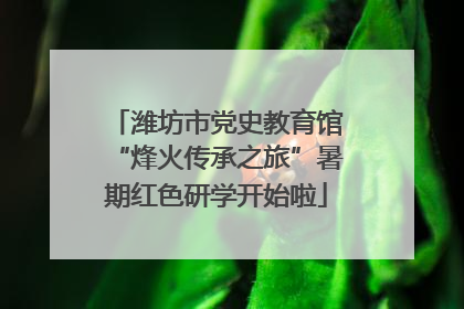 潍坊市党史教育馆“烽火传承之旅”暑期红色研学开始啦
