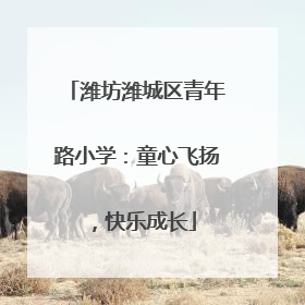 潍坊潍城区青年路小学：童心飞扬，快乐成长