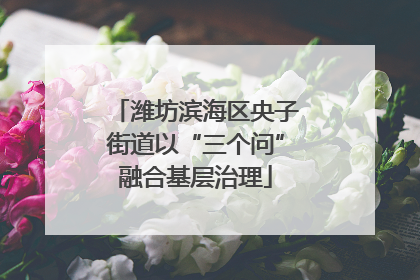 潍坊滨海区央子街道以“三个问”融合基层治理