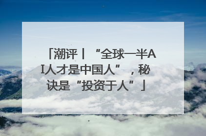 潮评丨“全球一半AI人才是中国人”，秘诀是“投资于人”