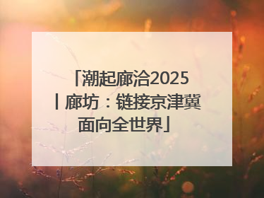 潮起廊洽2025丨廊坊：链接京津冀 面向全世界
