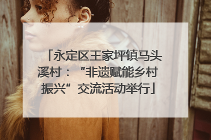 永定区王家坪镇马头溪村：“非遗赋能乡村振兴”交流活动举行