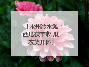 永州冷水滩：西瓜获丰收 瓜农笑开怀