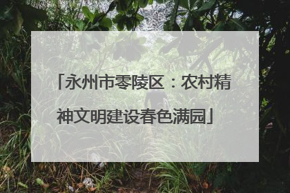 永州市零陵区：农村精神文明建设春色满园