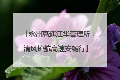 永州高速江华管理所：清风护航高速安畅行