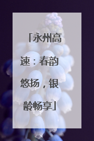 永州高速：春韵悠扬，银龄畅享