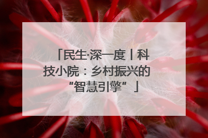 民生·深一度丨科技小院：乡村振兴的“智慧引擎”