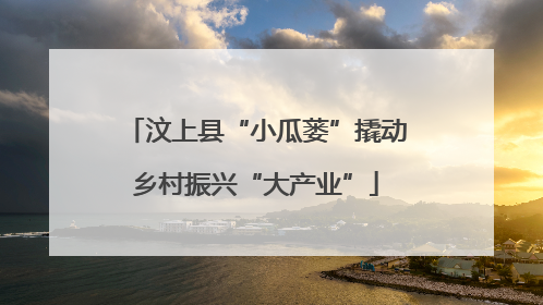 汶上县“小瓜蒌”撬动乡村振兴“大产业”