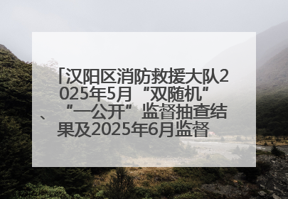 汉阳区消防救援大队2025年5月“双随机”、“一公开”监督抽查结果及2025年6月监督抽查任务公示