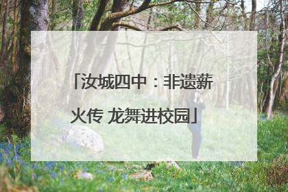 汝城四中：非遗薪火传 龙舞进校园