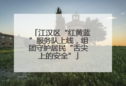 江汉区“红黄蓝”服务队上线，组团守护居民“舌尖上的安全”