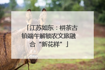 江苏如东：栟茶古镇端午解锁农文旅融合“新花样”