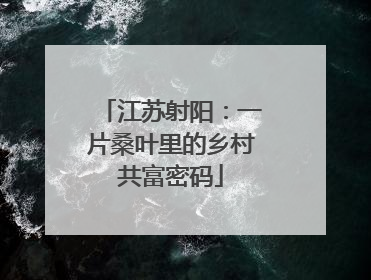 江苏射阳：一片桑叶里的乡村共富密码