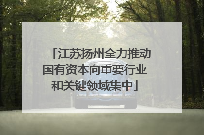 江苏扬州全力推动国有资本向重要行业和关键领域集中