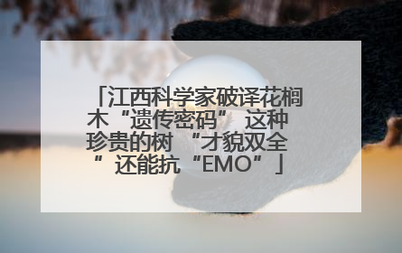江西科学家破译花榈木“遗传密码” 这种珍贵的树 “才貌双全”还能抗“EMO”