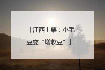 江西上栗：小毛豆变“增收豆”