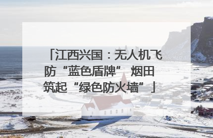 江西兴国：无人机飞防“蓝色盾牌” 烟田筑起“绿色防火墙”