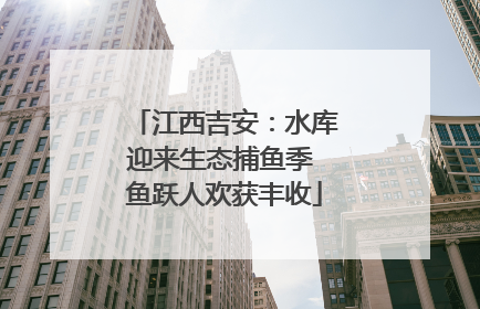 江西吉安：水库迎来生态捕鱼季 鱼跃人欢获丰收