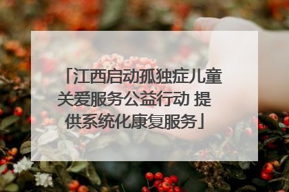 江西启动孤独症儿童关爱服务公益行动 提供系统化康复服务