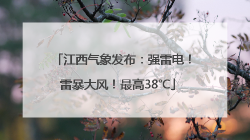 江西气象发布：强雷电！雷暴大风！最高38℃