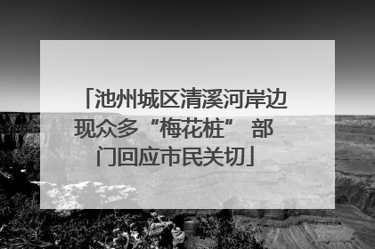 池州城区清溪河岸边现众多“梅花桩” 部门回应市民关切
