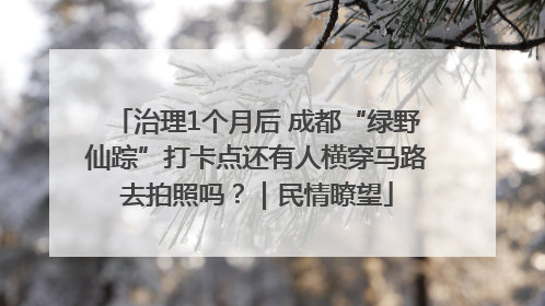 治理1个月后 成都“绿野仙踪”打卡点还有人横穿马路去拍照吗？｜民情瞭望