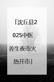 沈丘县2025中医养生夜市火热开市