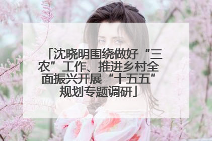 沈晓明围绕做好“三农”工作、推进乡村全面振兴开展“十五五”规划专题调研