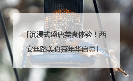 沉浸式盛唐美食体验！西安丝路美食嘉年华启幕