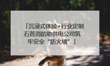 沉浸式体验+行业定制 石首消防助供电公司筑牢安全“防火墙”
